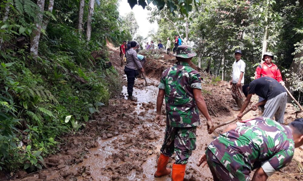 Tim Gabungan Dikerahkan, Pemkab Agam Gerak Cepat Tangani Longsor di Tiku