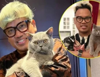 kucing uya