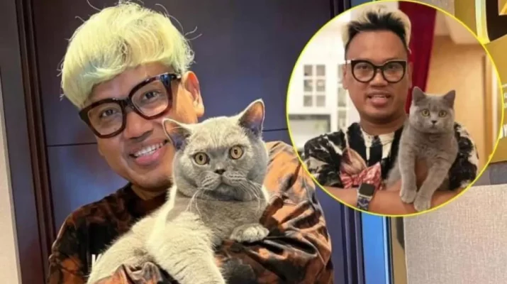kucing uya